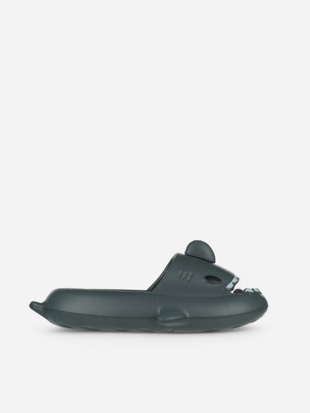 N83069