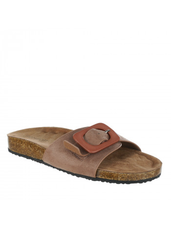 N79036 Braon-siva 