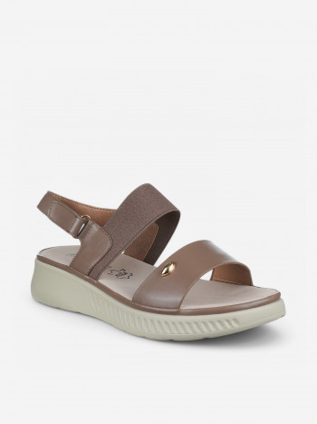 N80149 Braon-siva 