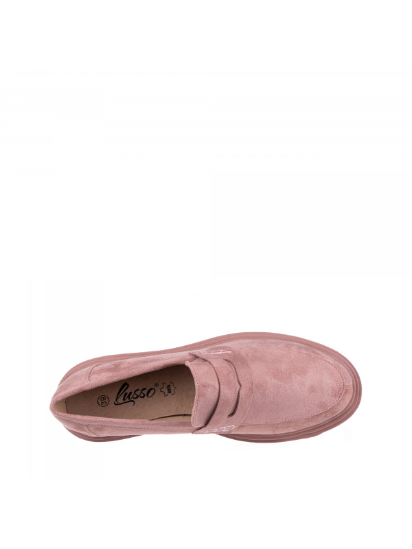 N76894 Braon-siva