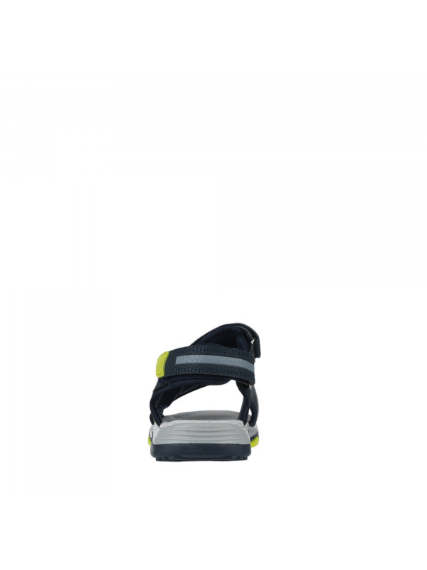 N79203 Teget 
