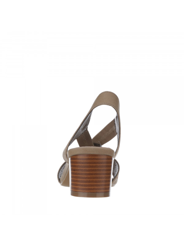 N79857 Braon-siva