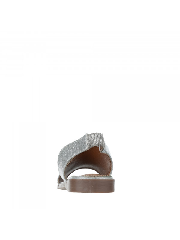 N79862 Braon-siva