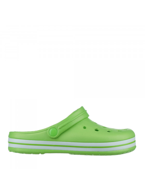 N79895 Zelena