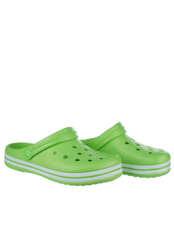 N79895 Zelena