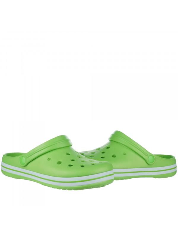 N79895 Zelena