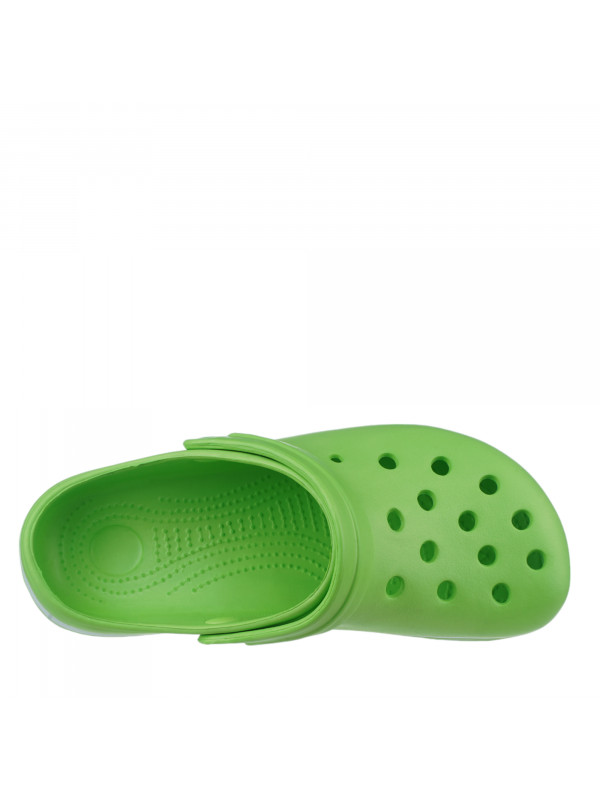 N79895 Zelena
