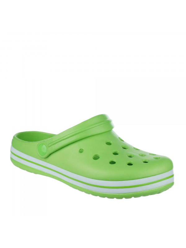 N79895 Zelena